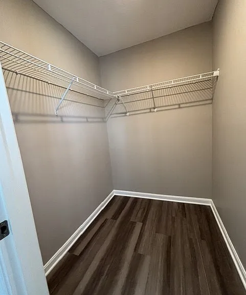 2899 Pine Leaf Ct — Photo 14