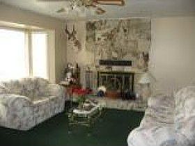 Living room fireplace