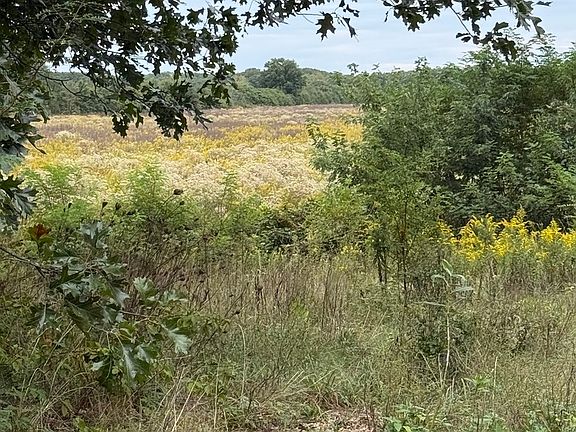 2nd image of 3307 S Wheeler Rd