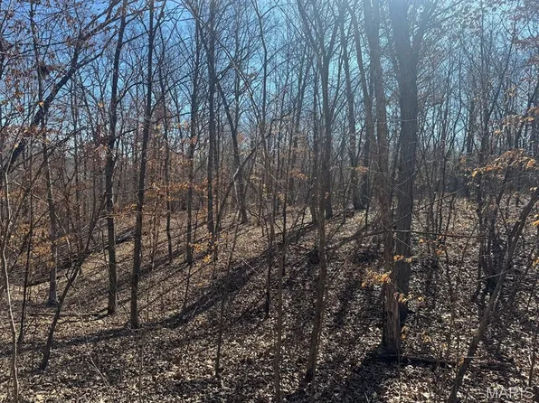 0 Clinton Pl, Monroe City, MO 63456