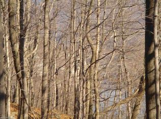 Tbd Rocky Hollow Rd, Pembroke, VA 24136