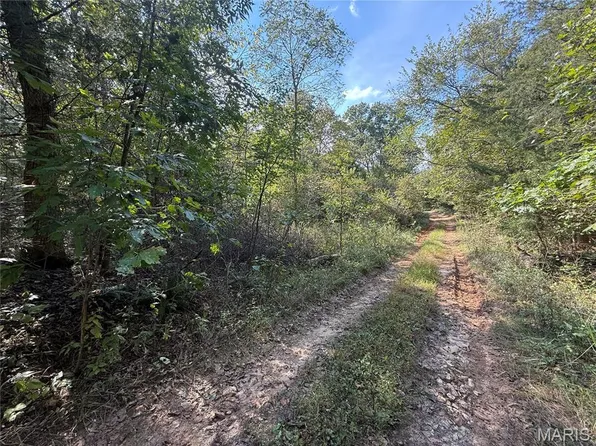 19450 Private Drive 6536, Beulah, MO 65436