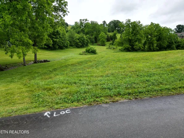 Swan Song Trl, Sharps Chapel, TN 37866