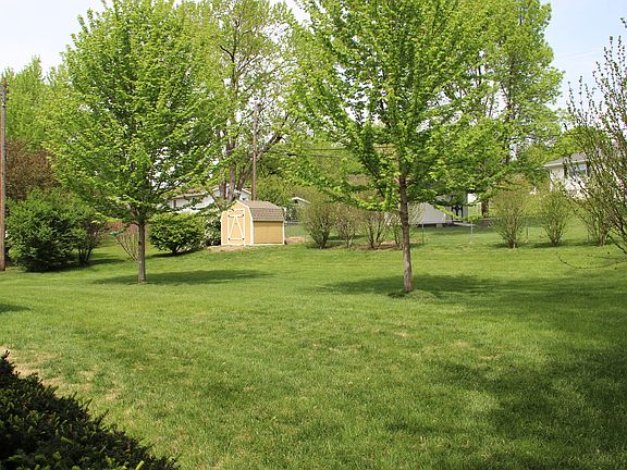 Level yard with shed