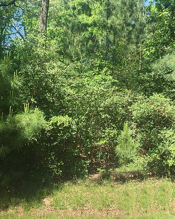 1st image of 23388 Forest Trl