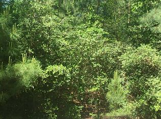 23388 Forest Trl, Hockley, TX 77447