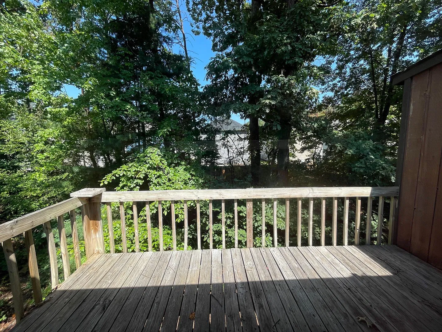 902 Aspen Trail — Photo 4