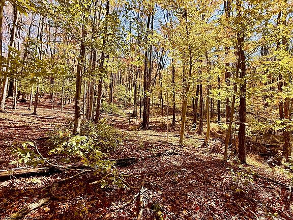 4th image of LOT 90 Mountainside Rd