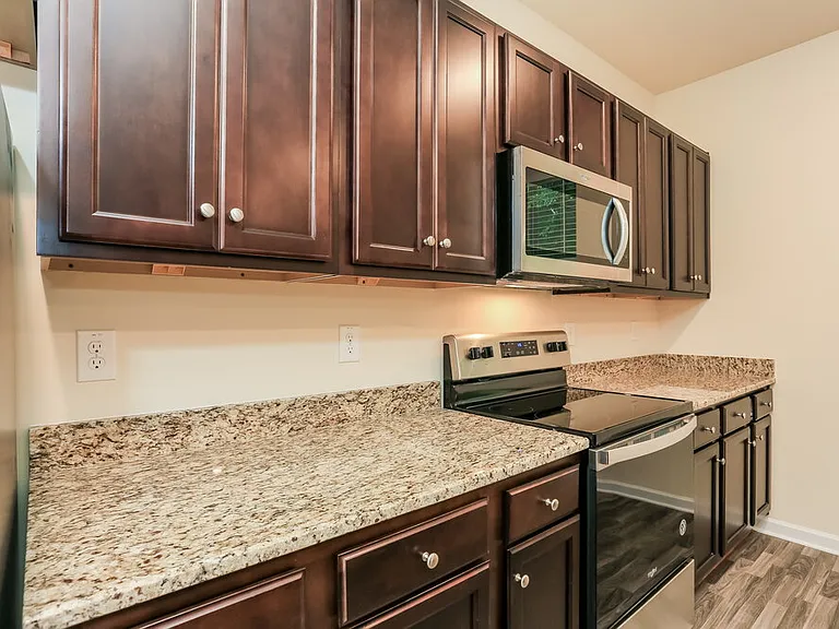 203 Hamilton Pointe Dr — Photo 8