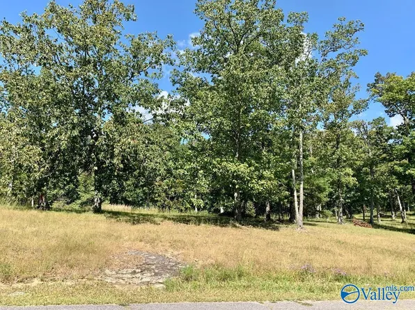 143 Ridgecreek Dr, Gurley, AL 35748