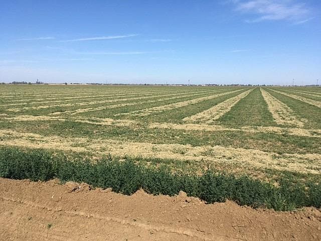 1st image of 0 County Road 25