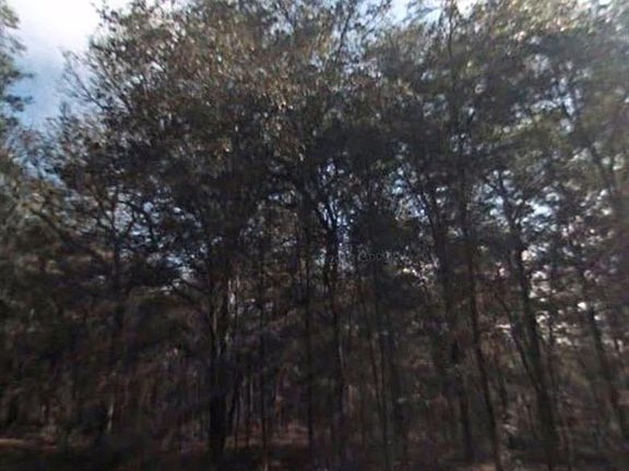 5th image of 450 E Elgrove Dr