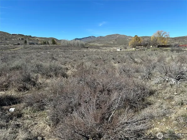 81 W Chewuch Road, Winthrop, WA 98862