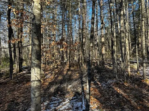 Lot 21,24C Horse Point Road, Belgrade, ME 04917