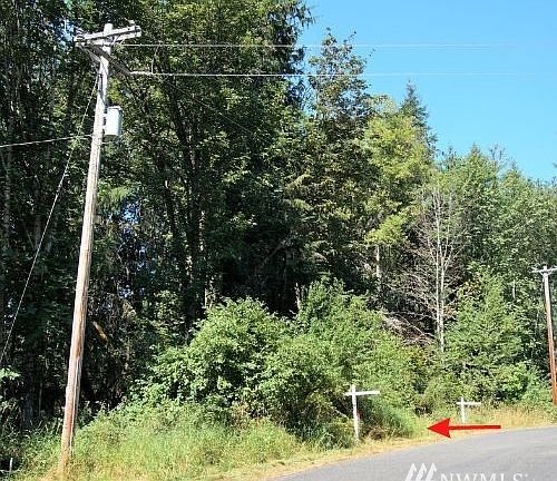 4th image of 55312 310th Avenue Ct E