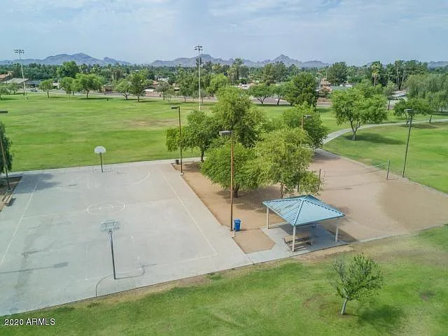 Basketball! So much grass for dog walking and children!