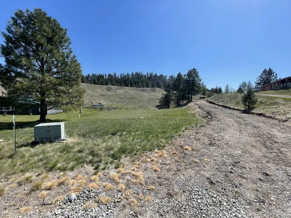 8 Killdeer Ct, Republic, WA 99166