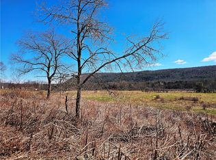 3214 State Highway 28 #17, Milford, NY 13807