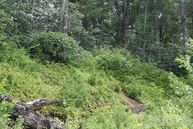 2nd image of Lot 6 Shelton Place