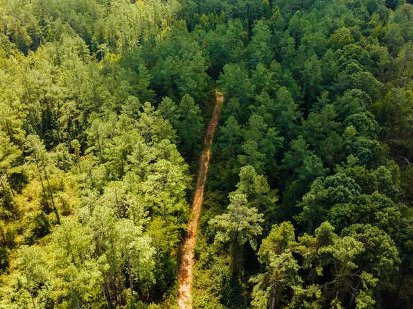 0 County Road 428, Paris, MS 38949
