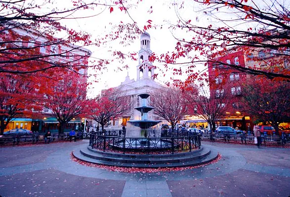 Rented by Baddour Group | media 28