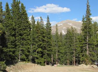 65 Lode Dr, Alma, CO 80420