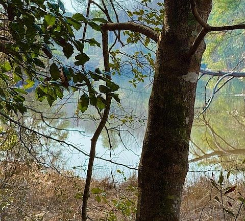 4th image of 24 Bermuda Rd