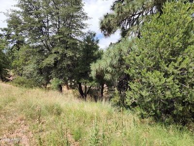 910 N BEELINE Highway #89, Payson, AZ, 85541