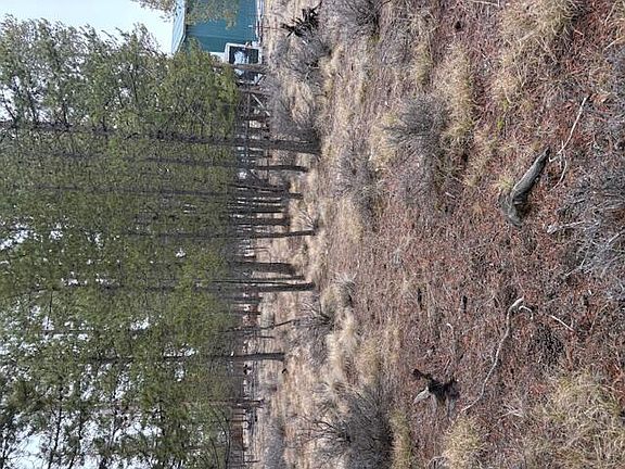 5th image of Sun Forest Dr
