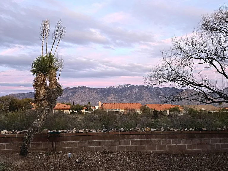 14770 N Windshade Dr — Photo 26