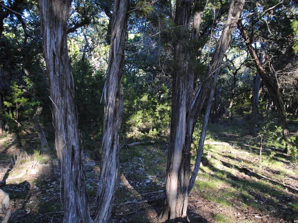 1334194 Rye LOT 36, San Antonio, TX 78260