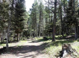 133 Ridge Rd, Cimarron, CO 81220