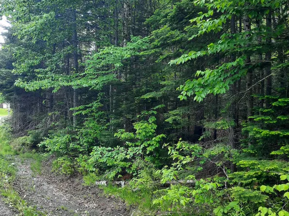 C6-443 Varney Road, Pittsburg, NH 03592