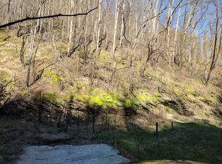 491 Baskins Creek Rd, Gatlinburg, TN 37738