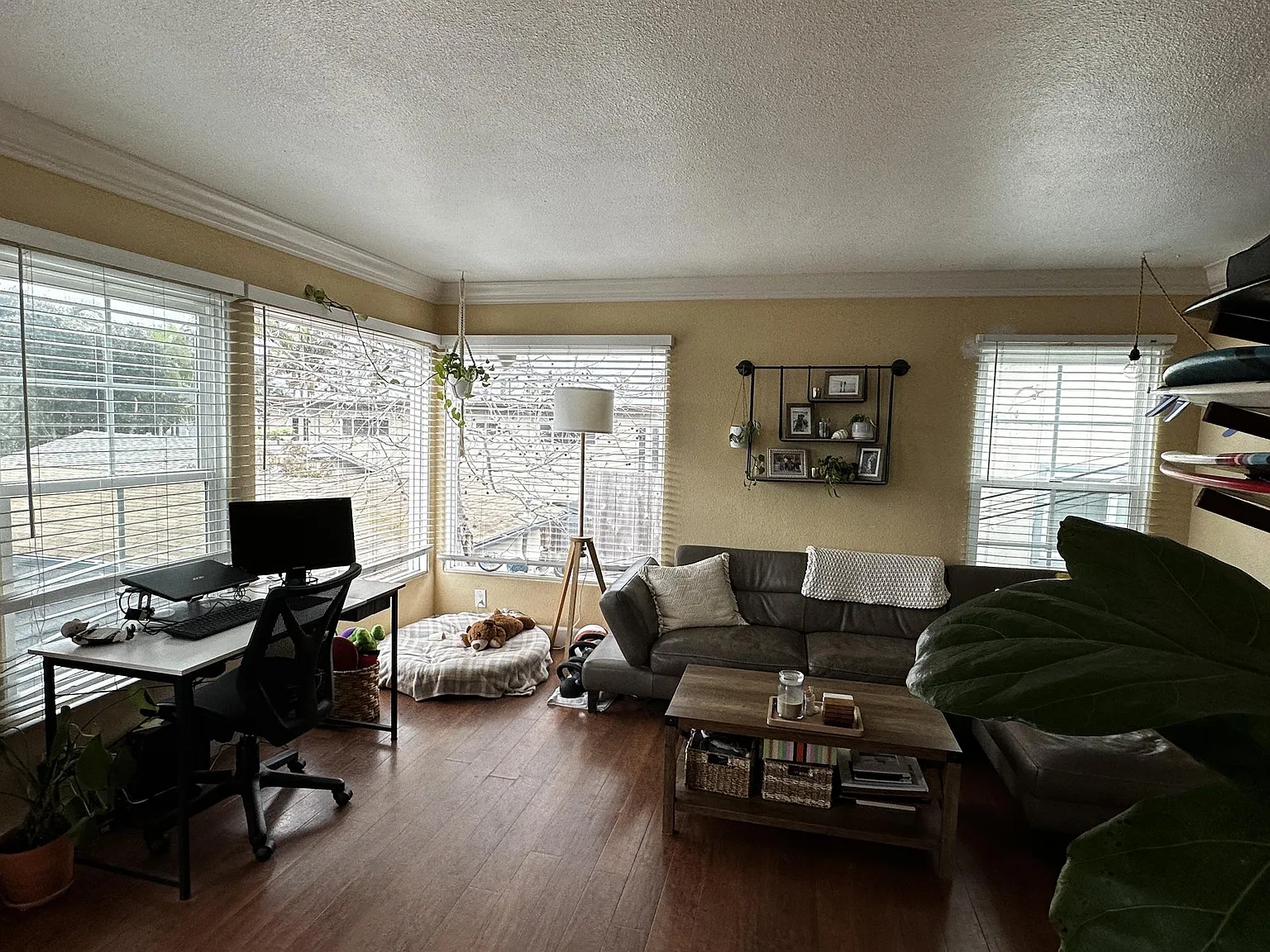 4870 Muir Avenue - 1 — Photo 3