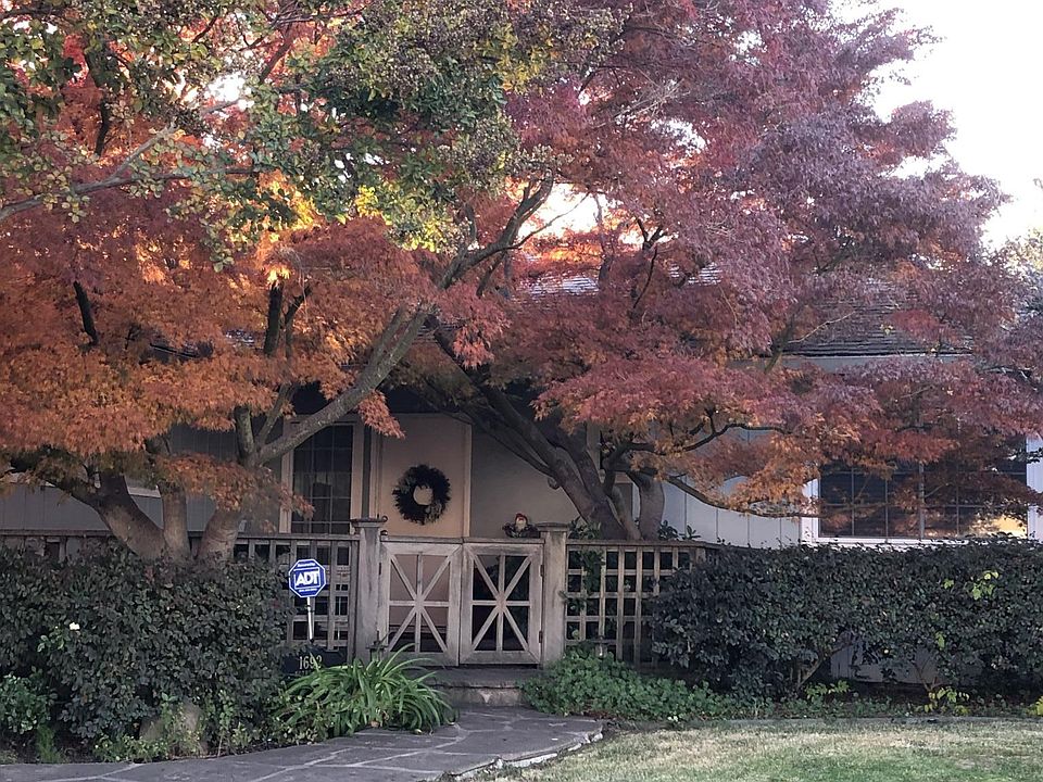 Front yard, walkway to front door and front courtyard