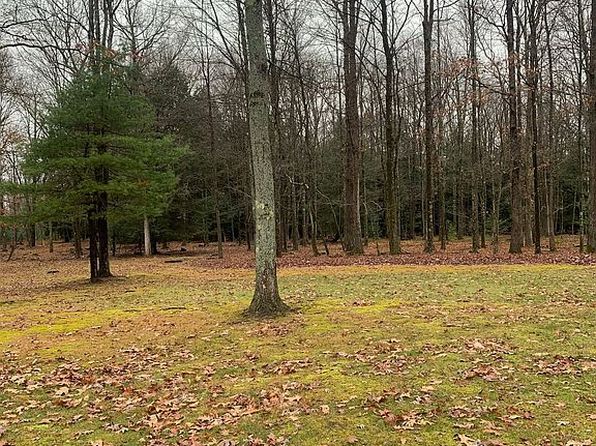 334 Great Bear Ln, Clarington, PA 15828