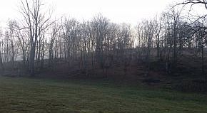 2nd image of 305 River Bend Rd