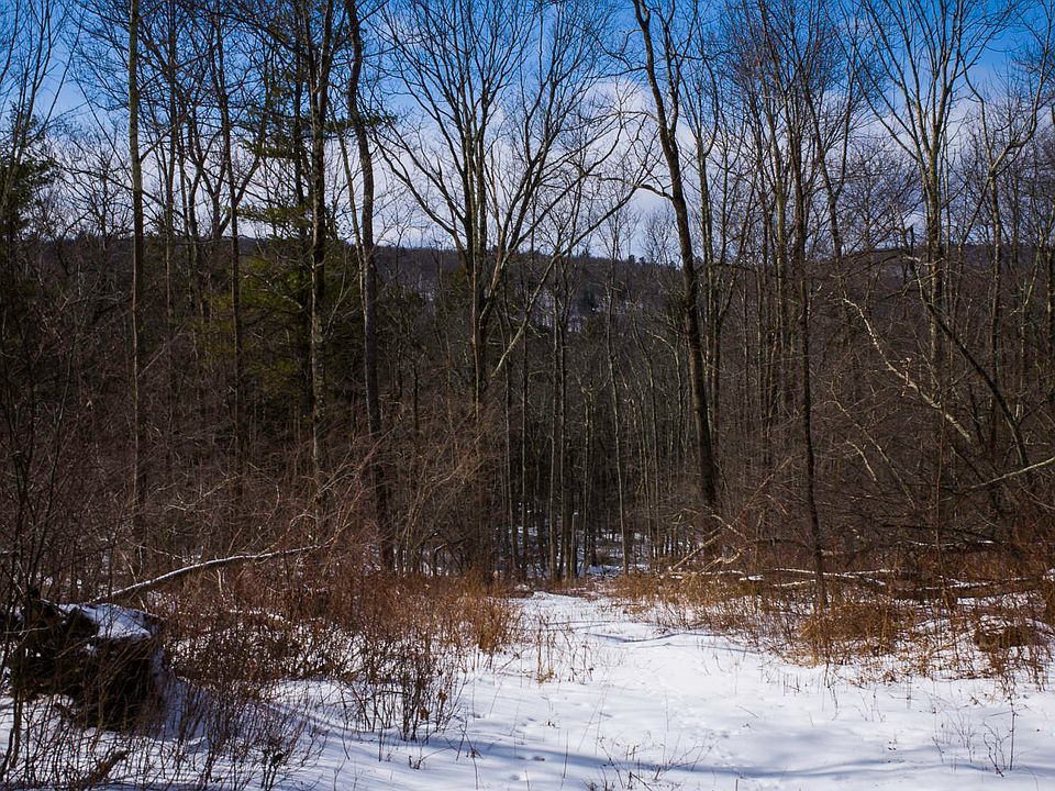 11 Harrington Dr, Austerlitz, NY 12017 Zillow