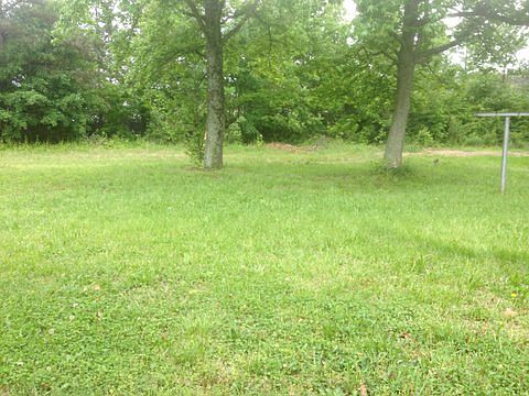 9805 Loblolly front yard_05032013