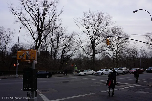 Rented by Living New York | media 32