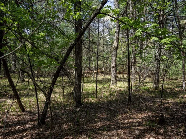 Lot 39 S Badger Lane #39, Arkdale, WI 54613