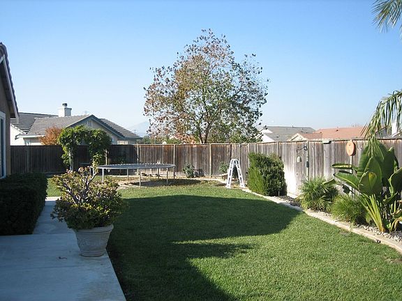 Another area of backyard.