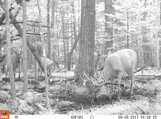 9426 Neta Ln, Coleman, WI 54112