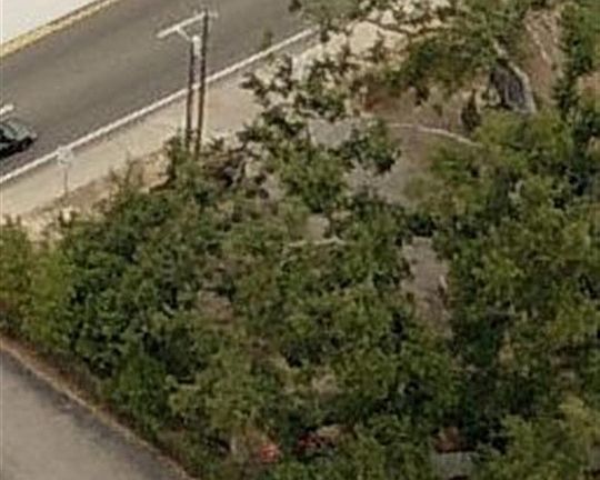 3rd image of 6770 N 9th Ave