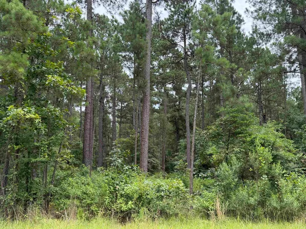 County Road 1202 Old Town Rd, Marshall, TX 75672