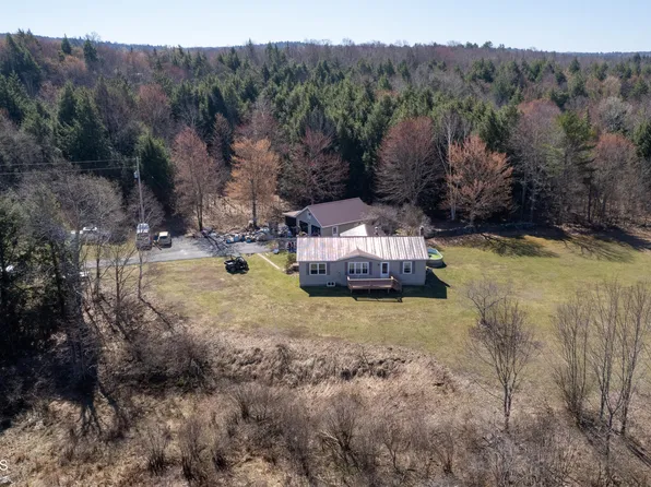 647 Guinea Road, Middleburgh, NY 12122