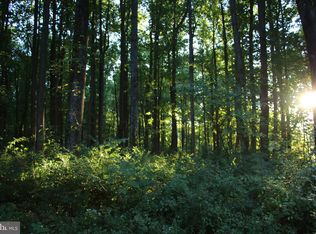 Headwaters Rd, Chester Gap, VA 22623