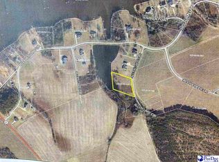 2517 Allen Lake Cir, Dillon, SC 29536