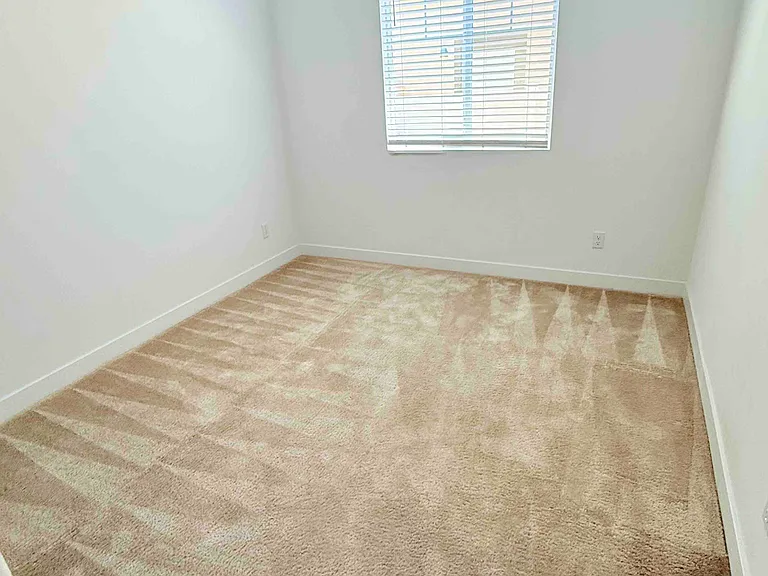 26541 Scotch Pine Cir — Photo 10